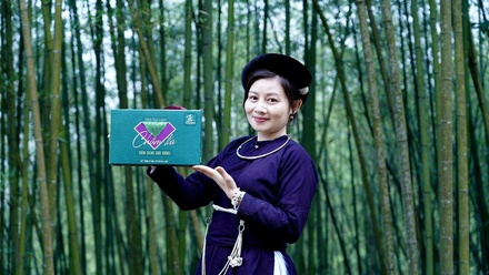 Trà túi lọc chàm tía (Xỏm Đeng)