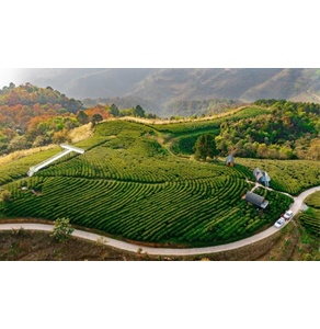 Lê Kolia Phia Đén